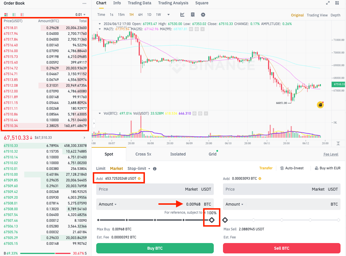 Рыночный ордер: ставка на скорость и безусловное исполнение — скриншот терминала