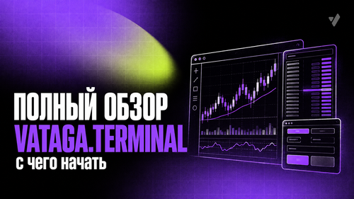 Полный обзор Vataga.terminal: с чего начать