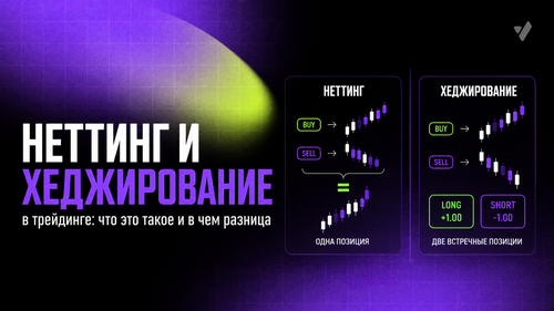 Неттинг и хеджирование в трейдинге: что это такое и в чем разница